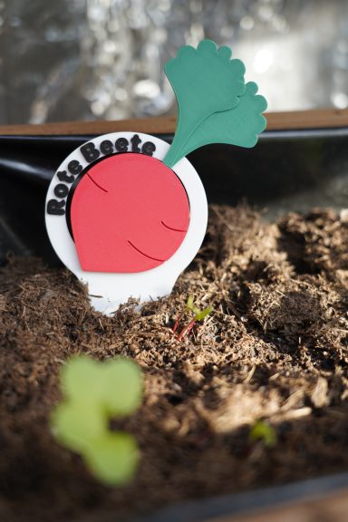 3D-gedrucktes Beetschild "Rote Beete"